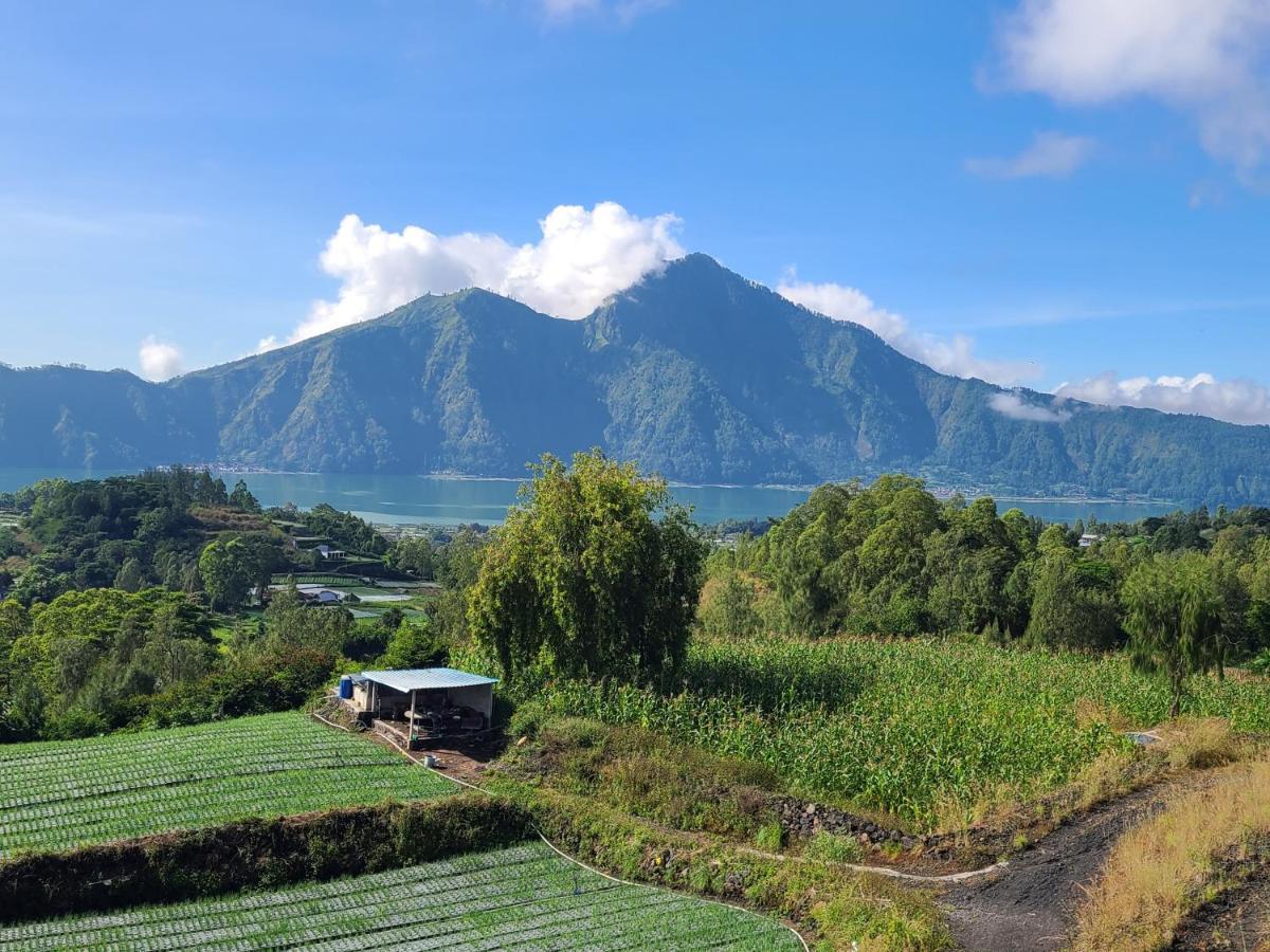 Batur Lake View Kintamani Dış mekan fotoğraf